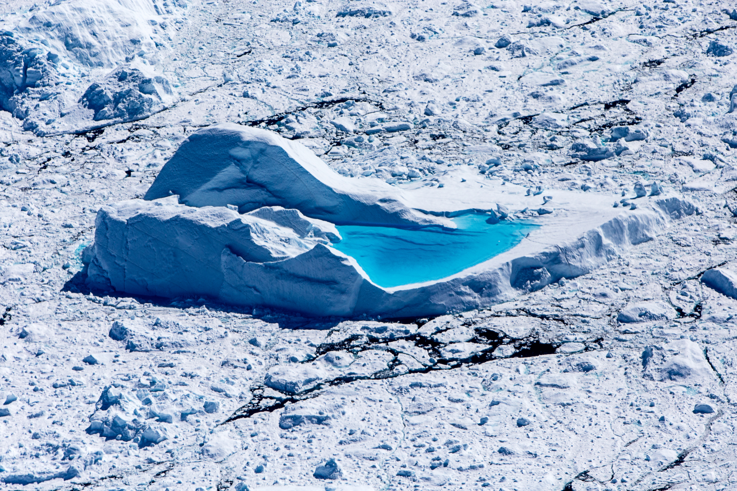 vom Gletscher Sermeq Kujalleq abgebrochene Eisberge